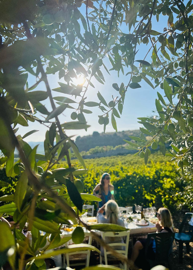 pranzo-in-vigna-tenute-castello-inici